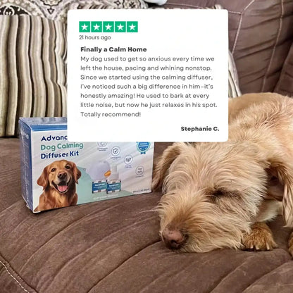 Calming Pheromone Diffuser